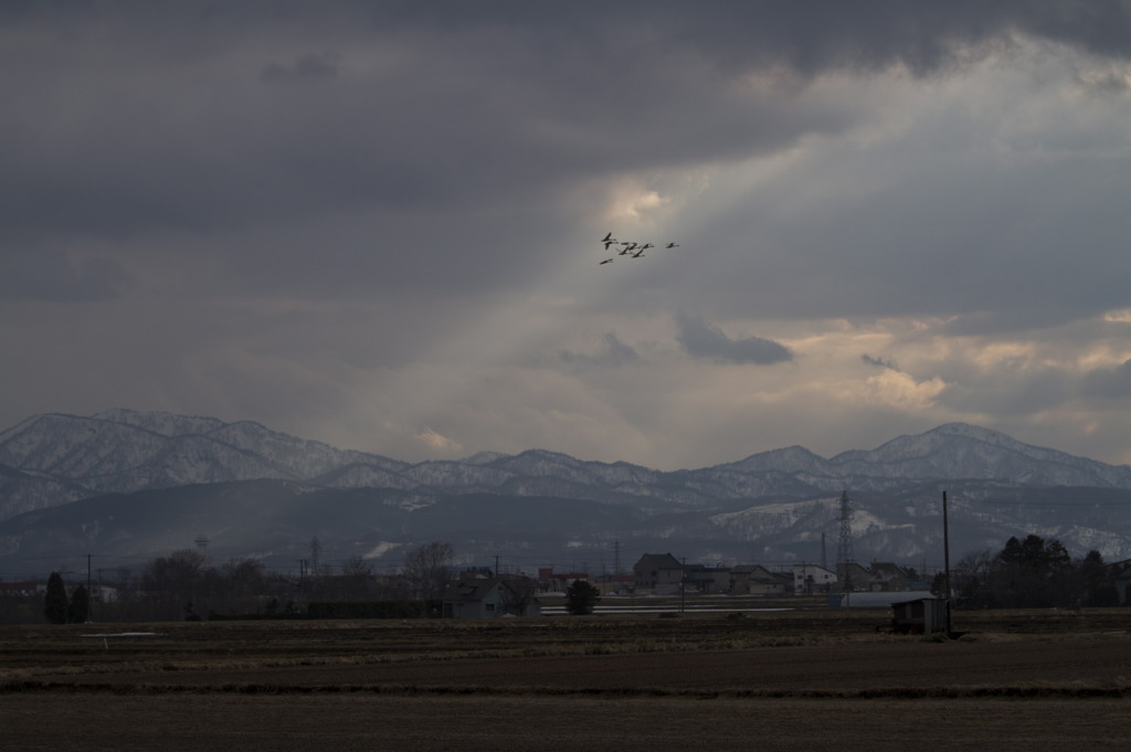 田舎の風景 16