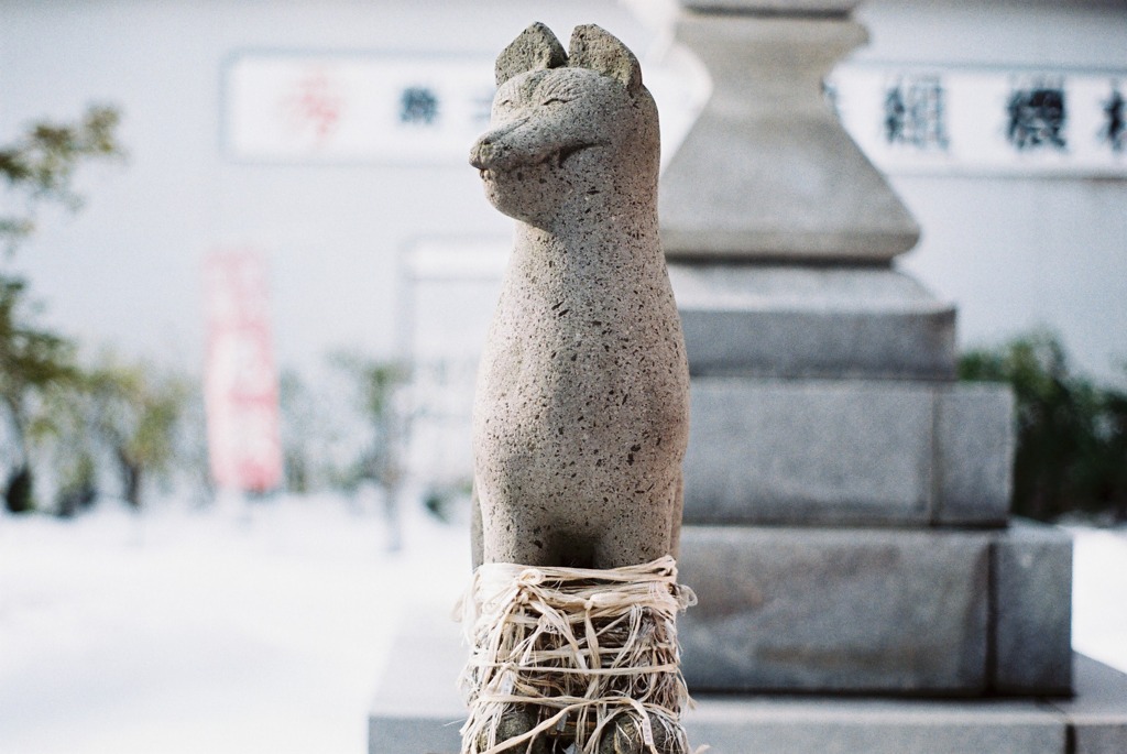 こまねく
