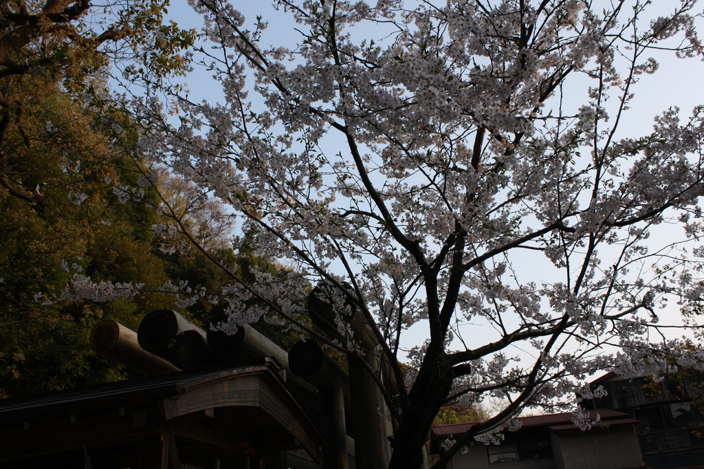 kamakura **