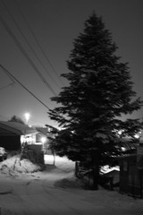 家路