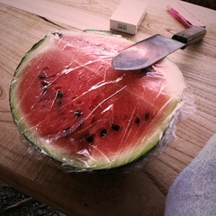 suica