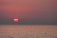 海辺の朝日