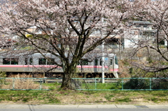 桜色のワンポイント