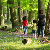 Forest walking