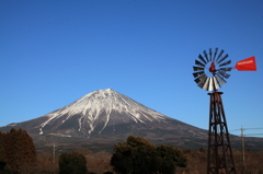 まかいの牧場より望む富士