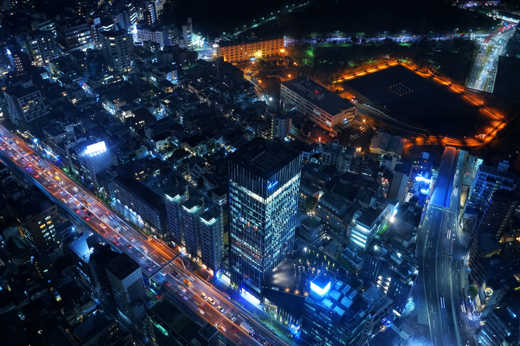 六本木ヒルズ夜景