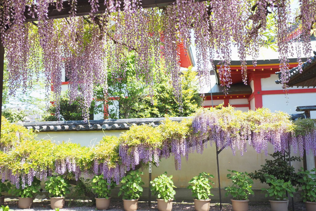 奈加美神社