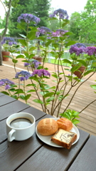 ランチ