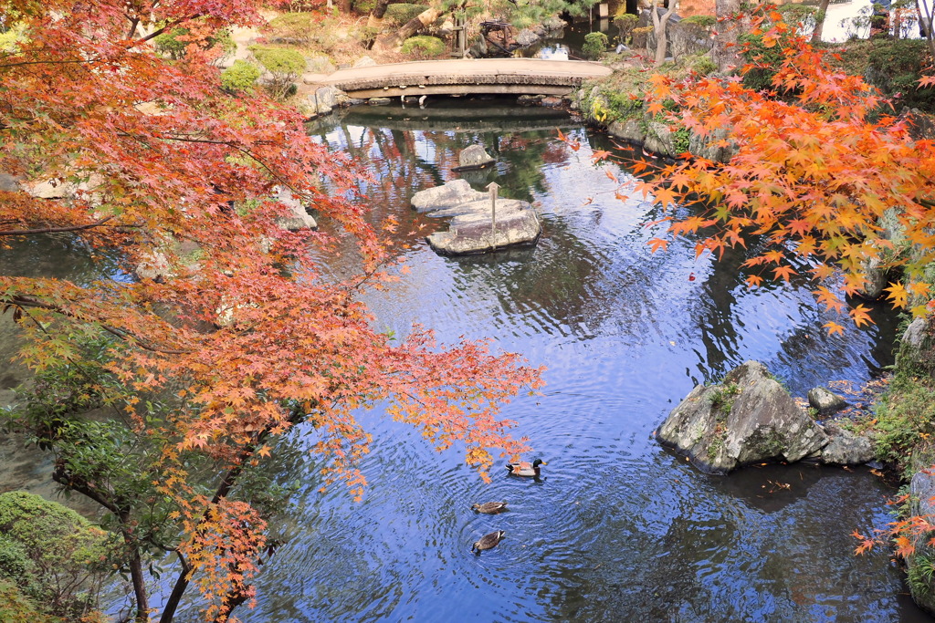 紅葉渓庭園
