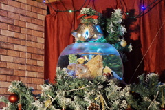 金魚なクリスマスツリー