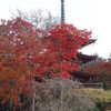 岡寺三重塔