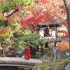 紅葉渓庭園