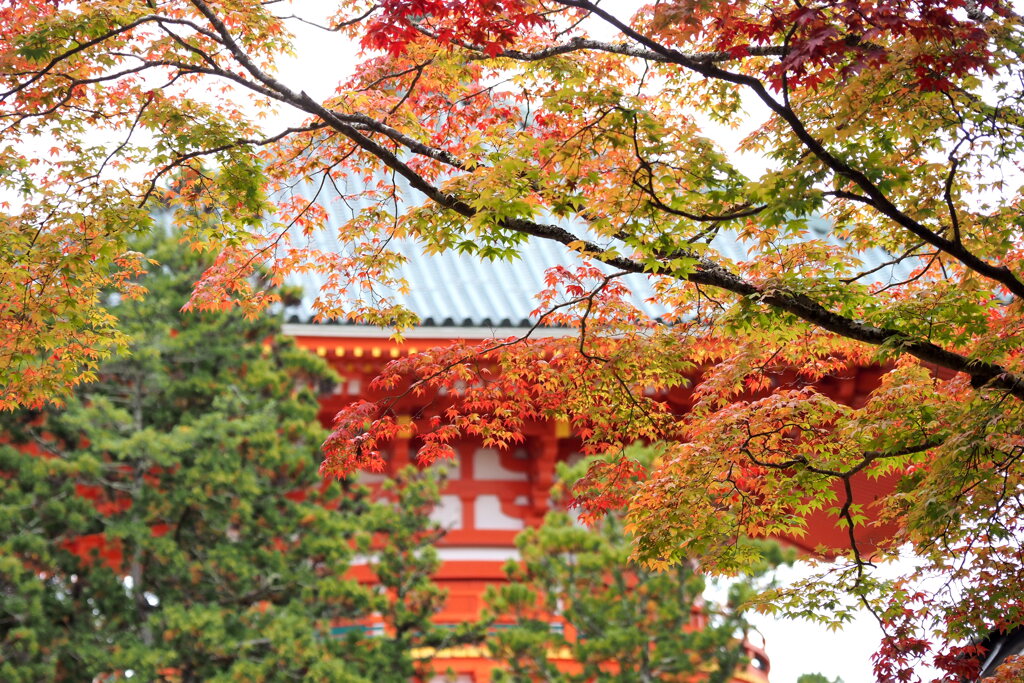 根本大塔と紅葉