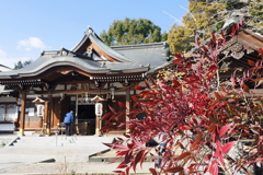 参拝