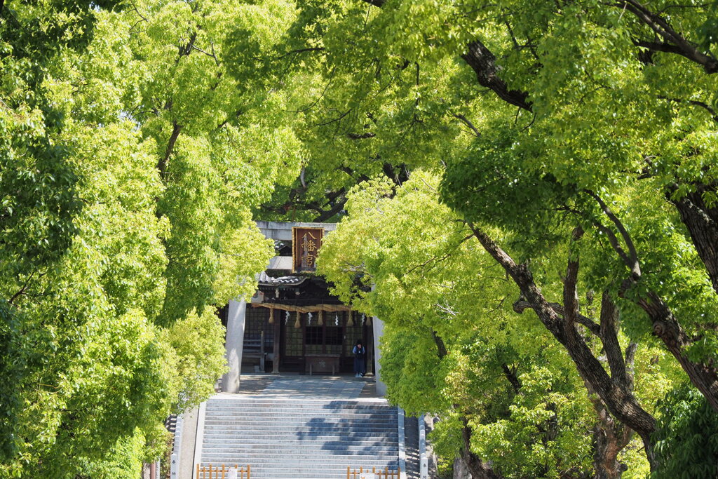 参道