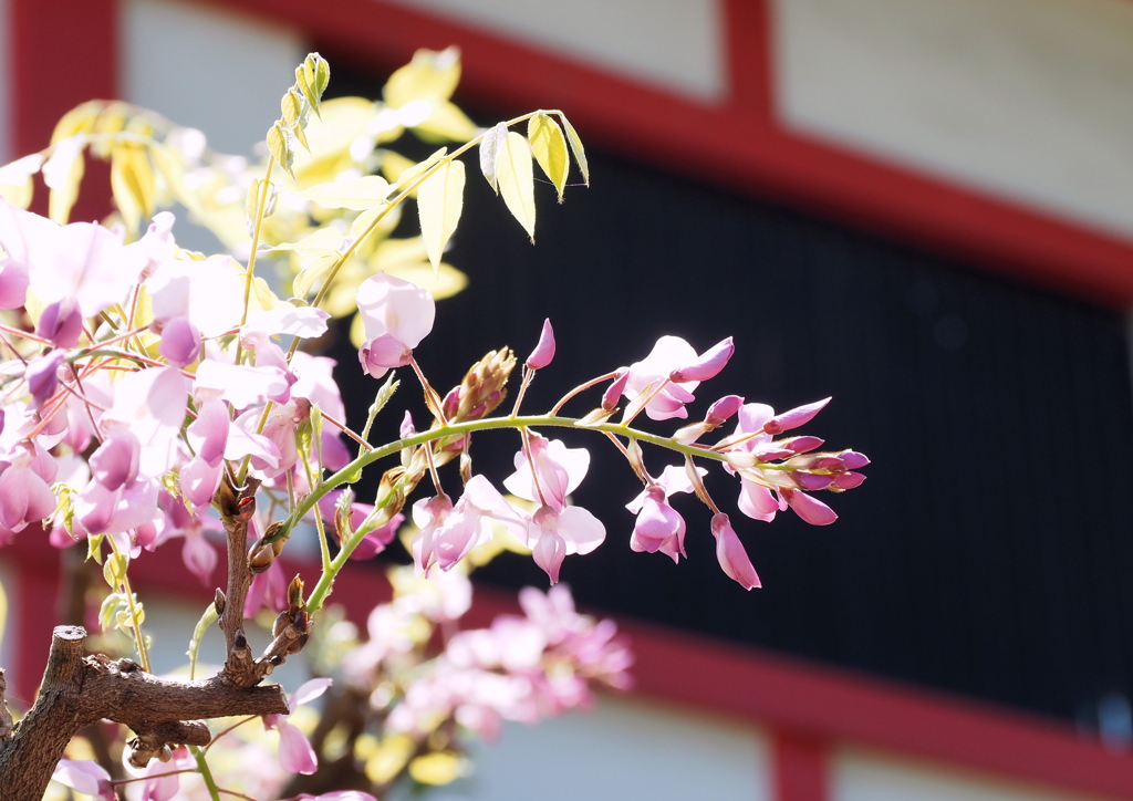 奈加美神社