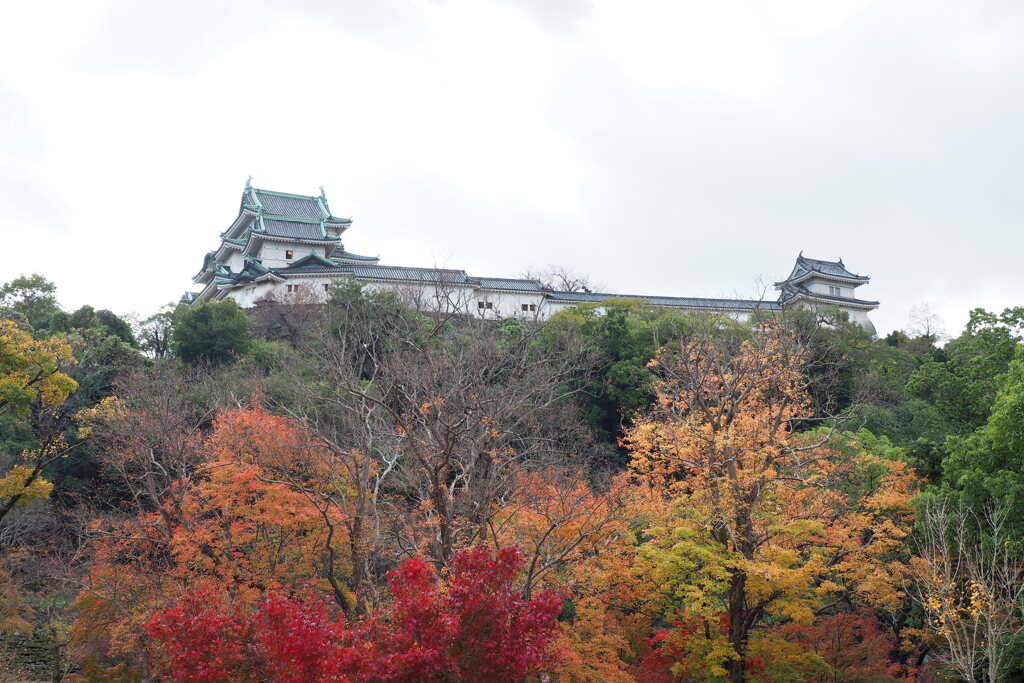 秋色和歌山城 ６