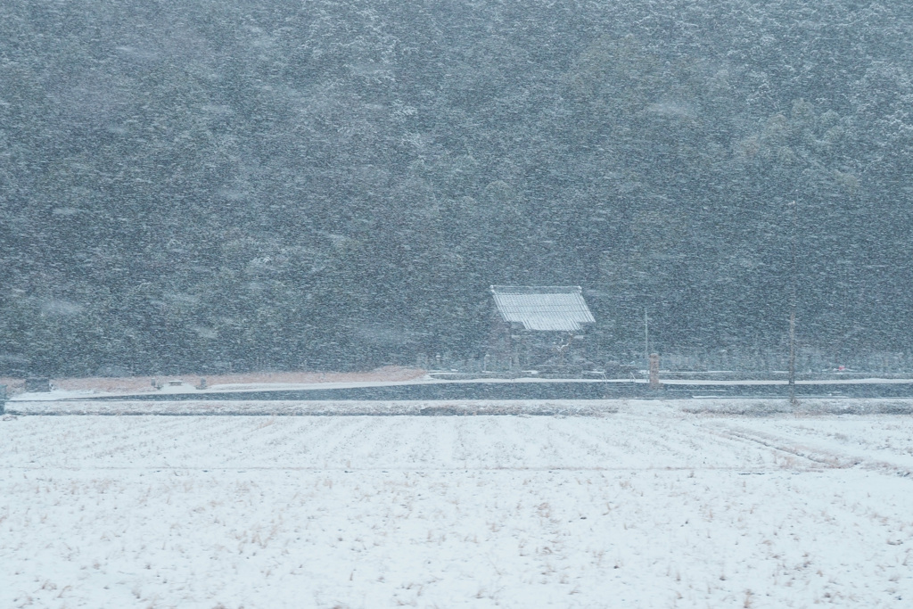 雪日