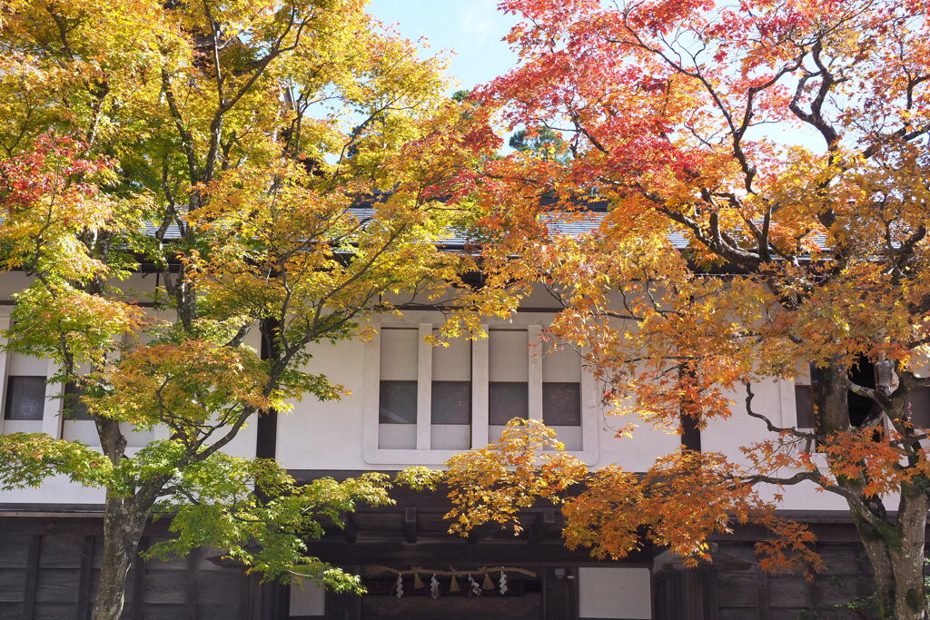 高野山の紅葉 １７