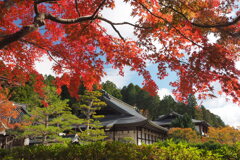 高野山の紅葉 ５