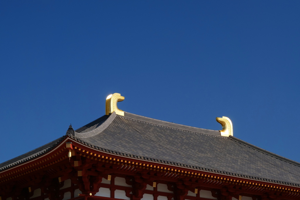 輝く鴟尾