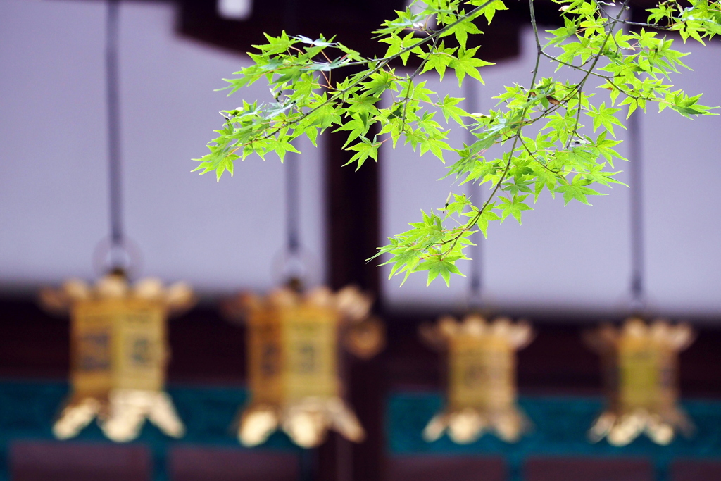 河合神社 ２