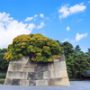 皇居東御苑 １