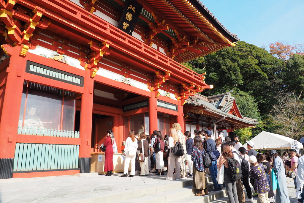 鶴岡八幡宮（2020年11月） １
