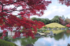 大仙公園日本庭園の秋 ６