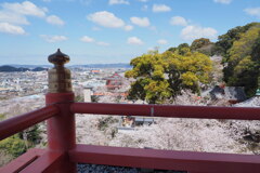 仏殿からの眺望