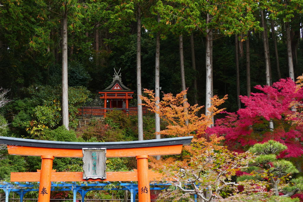 祓川弁財天紅葉（高野山）