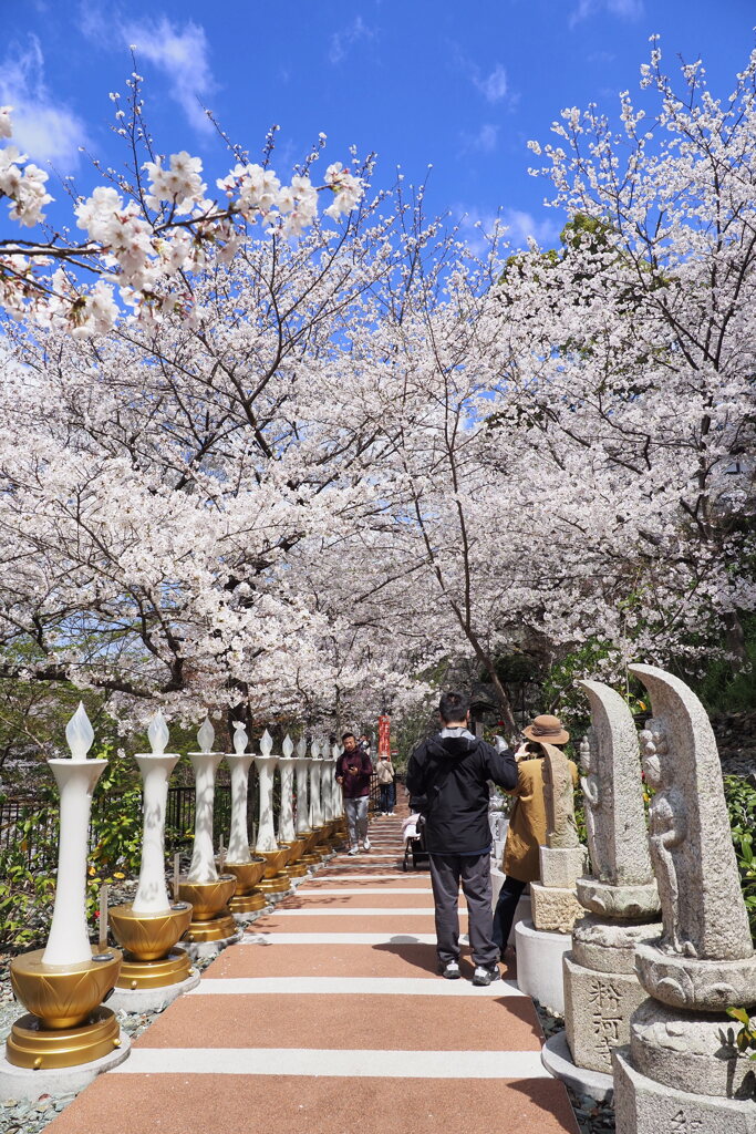 参道