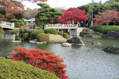 大仙公園日本庭園の秋 ２
