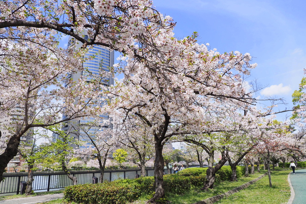 桜之宮公園