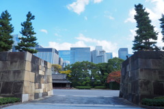 皇居東御苑 ３