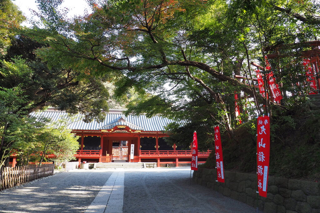 鶴岡八幡宮（2020年11月） ３