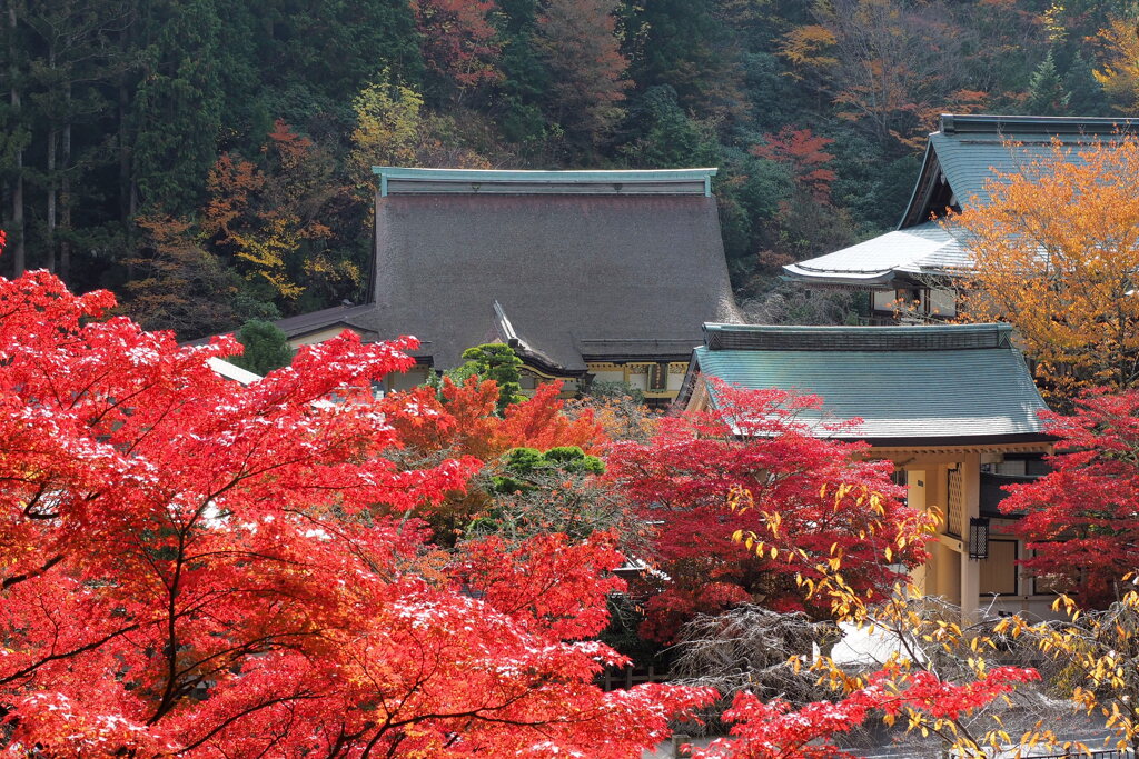 西南院と紅葉 １