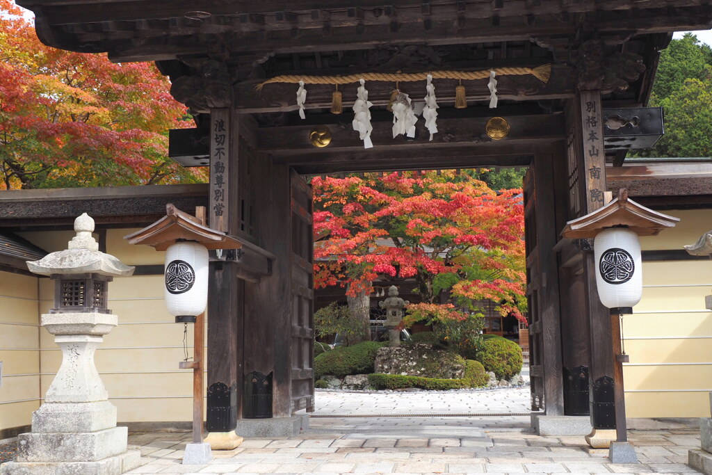 高野山にて