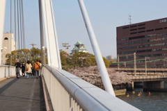 大阪城と桜とカヌー