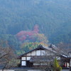 岡寺三重塔遠望