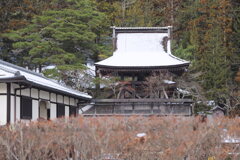 高野山にて