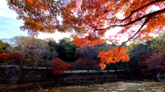 紅葉渓庭園