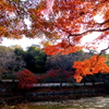 紅葉渓庭園