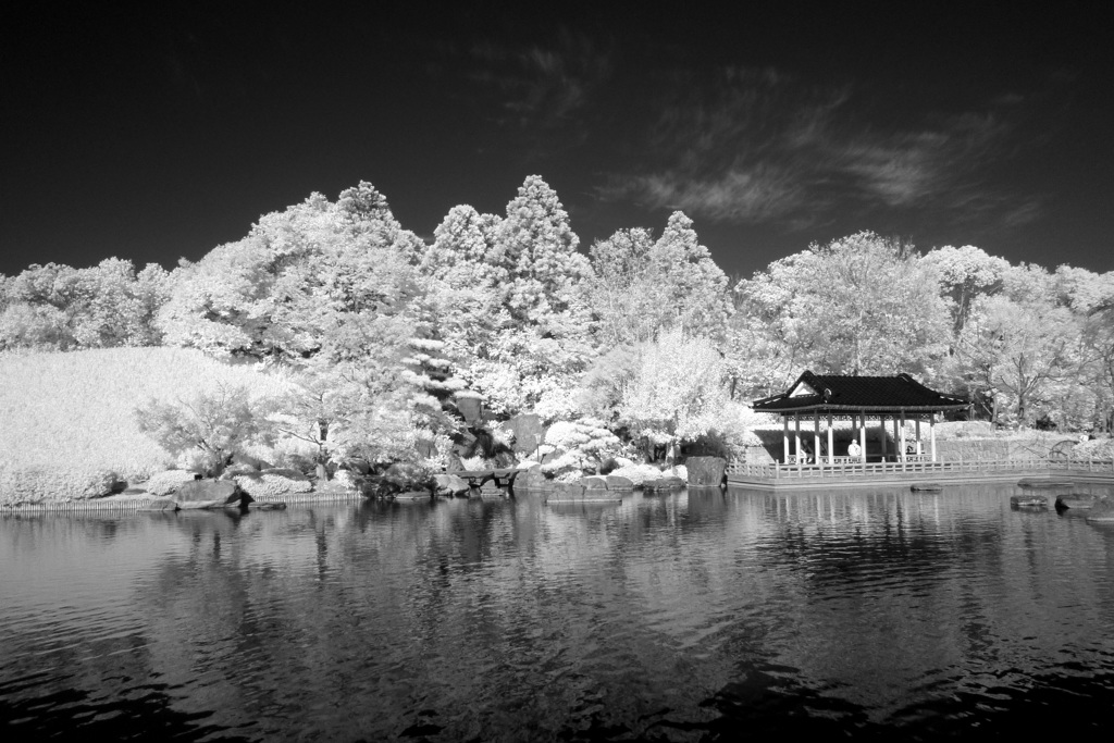 大仙公園日本庭園