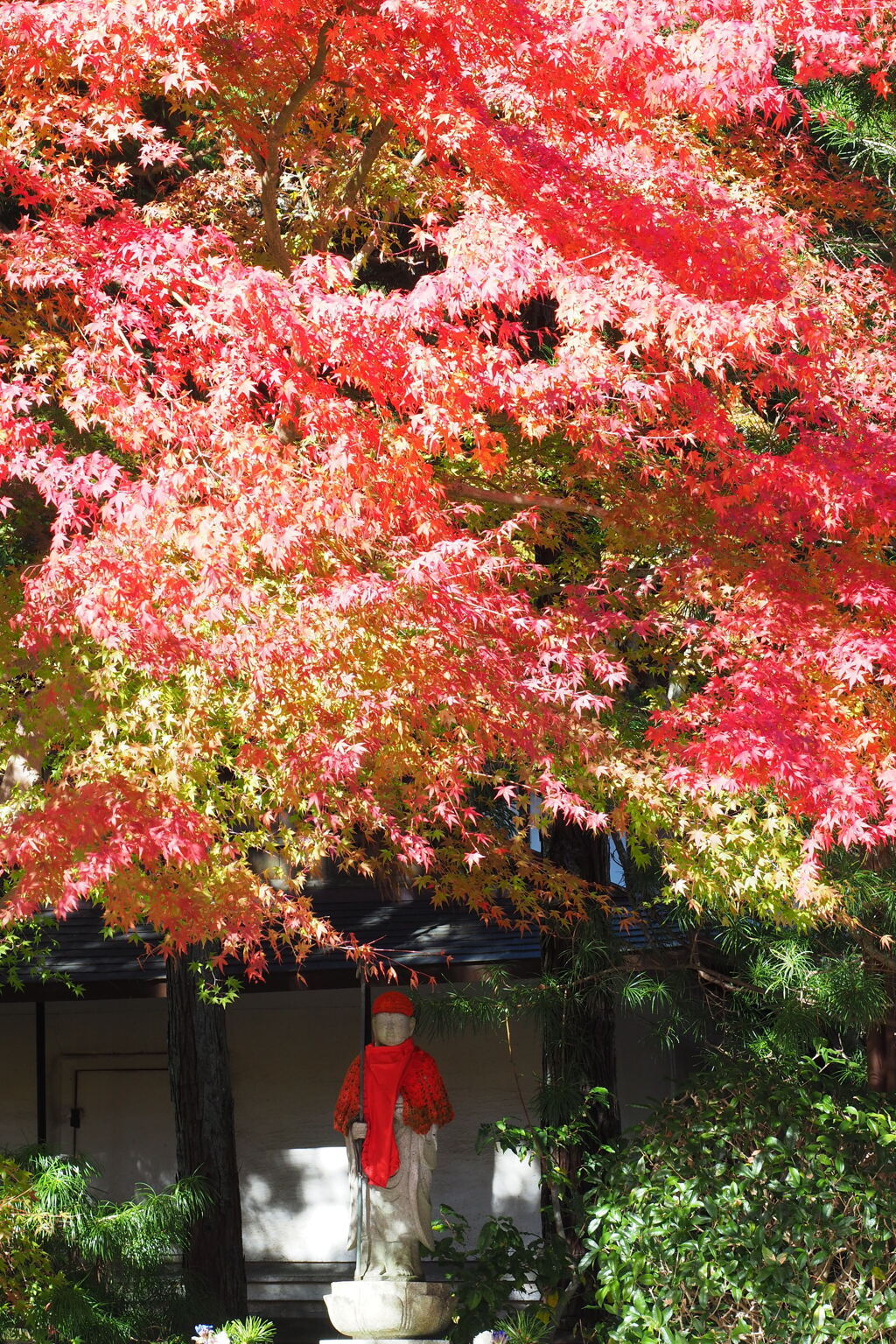 お地蔵さんに紅葉の天蓋