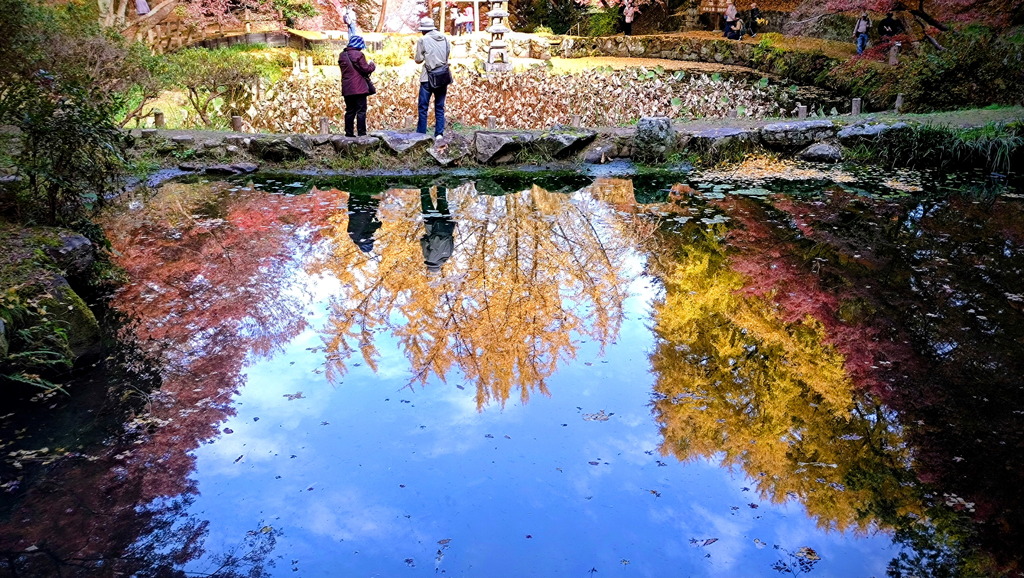 リフレクション