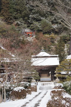 高野山にて