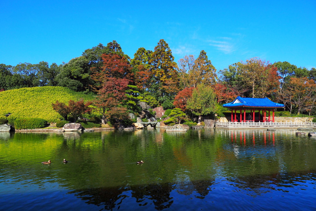 大仙公園日本庭園