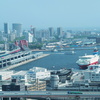 港