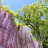 奈加美神社
